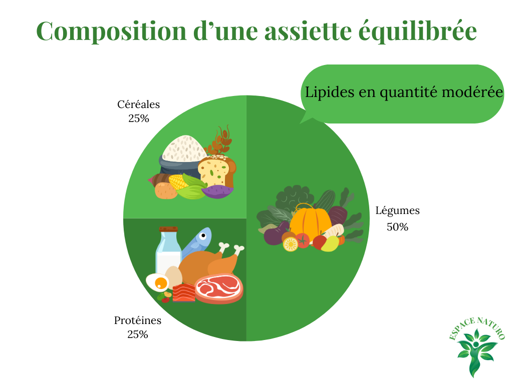 Graphique illustrant la composition recommandée d'une assiette équilibrée, montrant des proportions de légumes, protéines, céréales, et une petite portion de lipides.