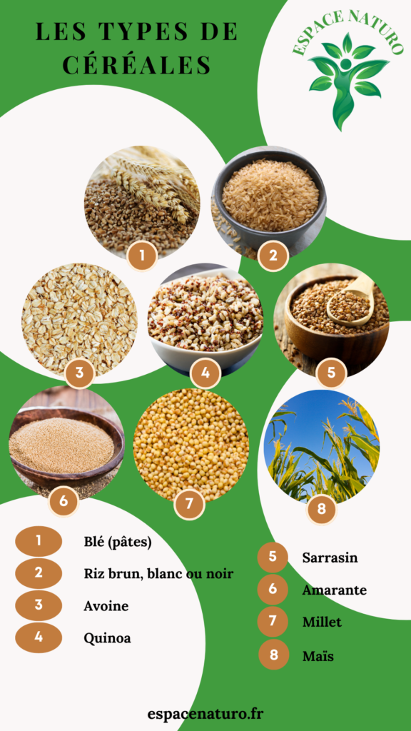 Infographie détaillée des différents types de céréales, incluant le blé, le riz brun, l'avoine, le quinoa, le sarrasin, l'amarante, le millet et le maïs.