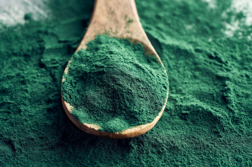 Cuillère en bois contenant de la spiruline en poudre, sur un fond de spiruline.