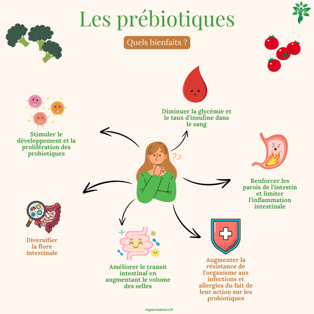 Illustration décrivant les différents bienfaits des prébiotiques pour la santé, avec des éléments graphiques autour d'une personne réfléchissant.