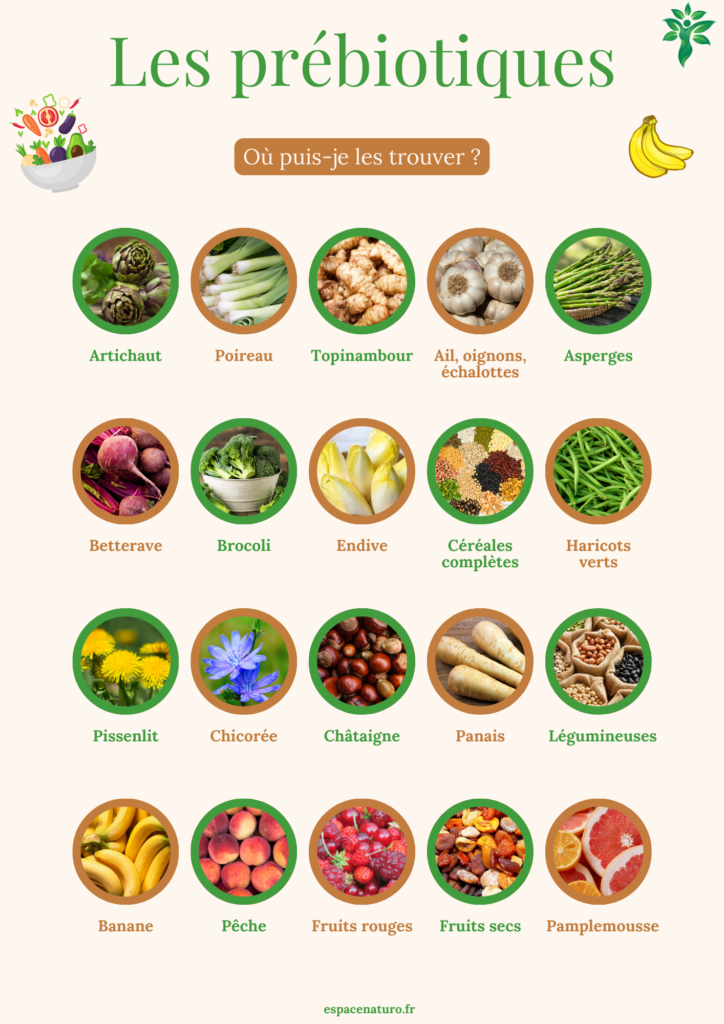 Liste d'aliments riches en prébiotiques avec des illustrations de fruits, légumes, céréales et légumineuses.