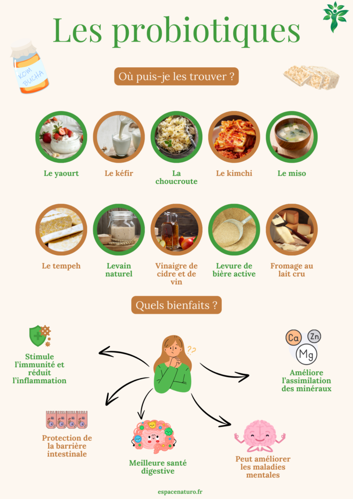 Infographie des sources de probiotiques et de leurs bienfaits pour la santé.