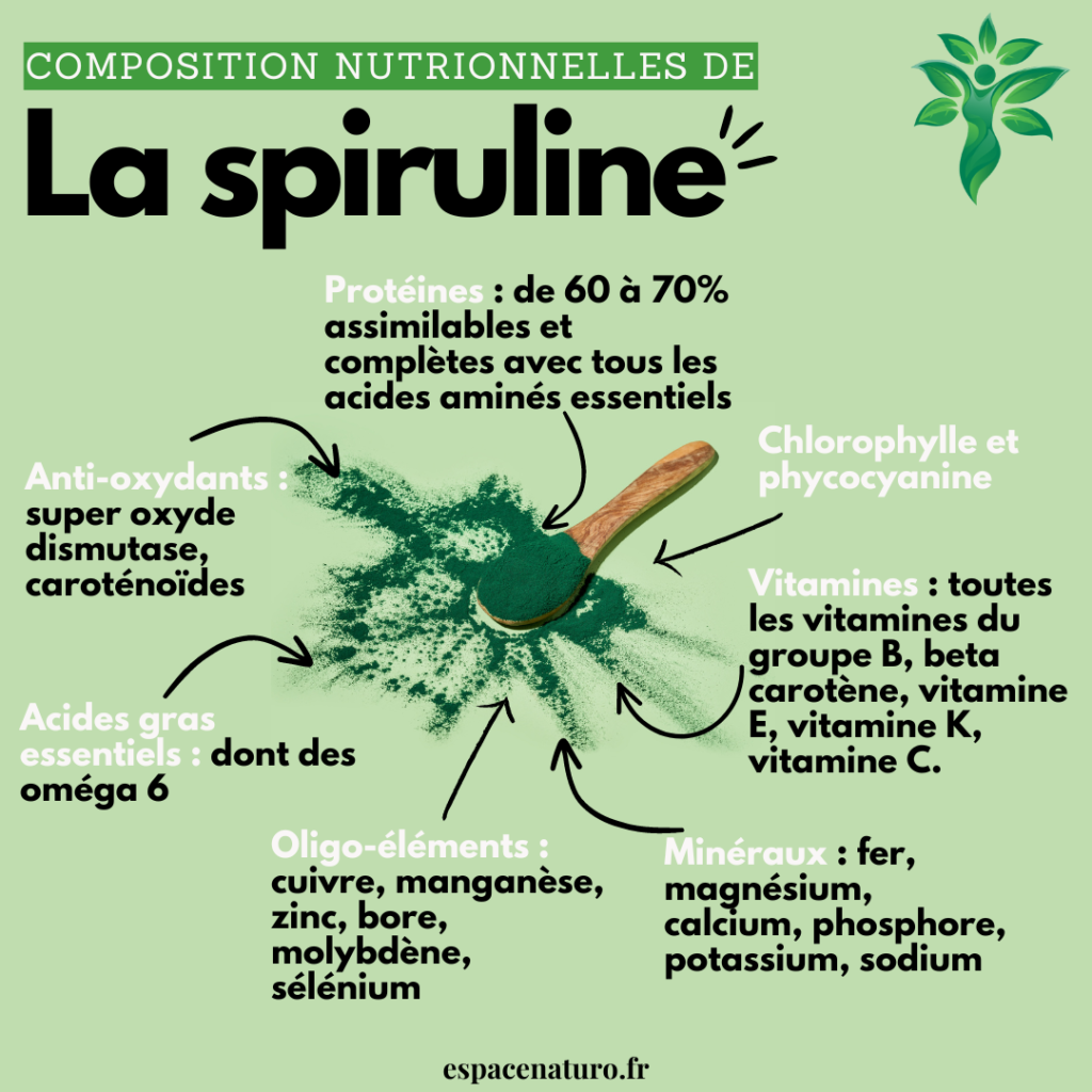 Infographie sur la composition nutritionnelle de la spiruline avec détails sur les protéines, vitamines et minéraux.