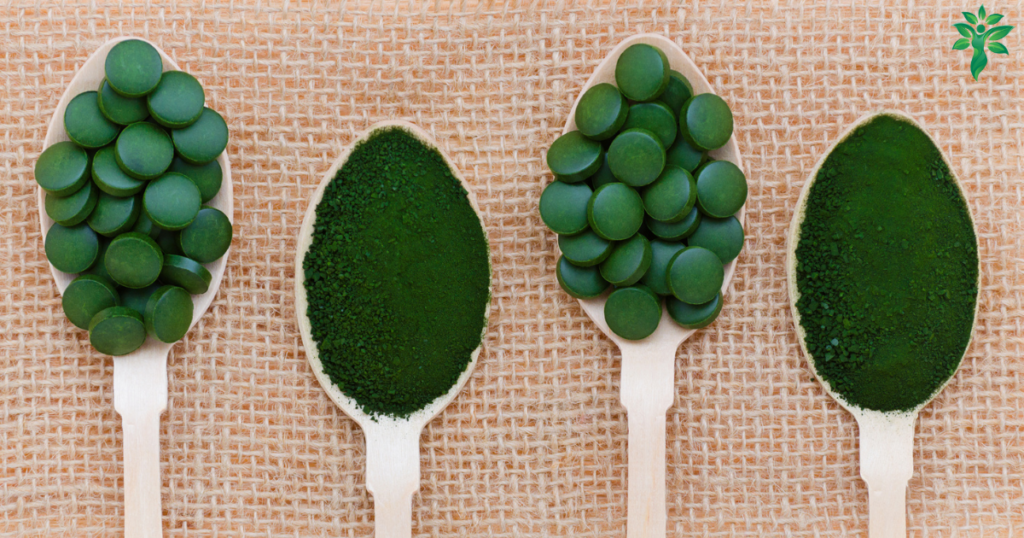 Comprimés et poudre de spiruline présentés dans des cuillères en bois.