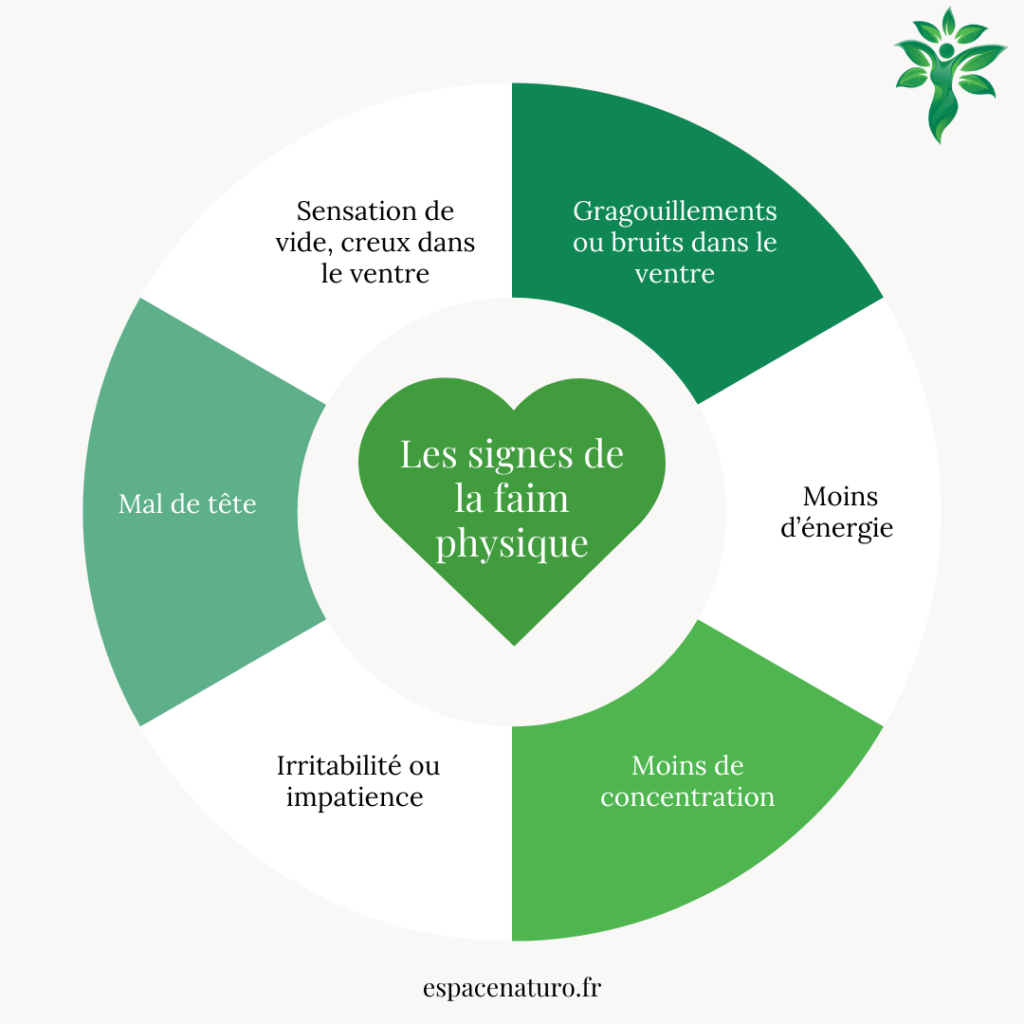 Diagramme des signes de la faim physique, incluant gargouillements d'estomac, moins d'énergie, mal de tête, sensation de vide, irritabilité et moins de concentration.