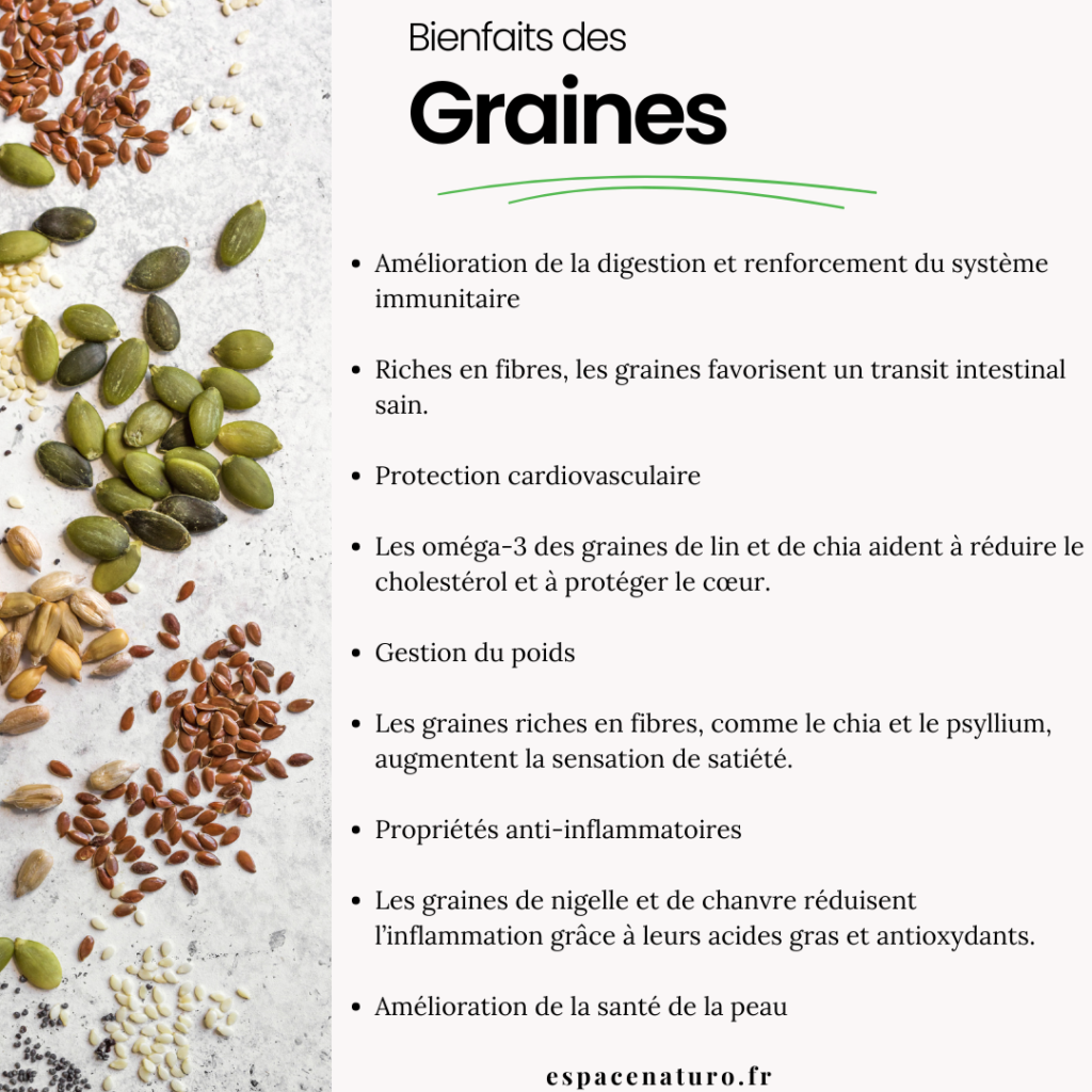 Infographie sur les bienfaits des graines pour la digestion et le système immunitaire.