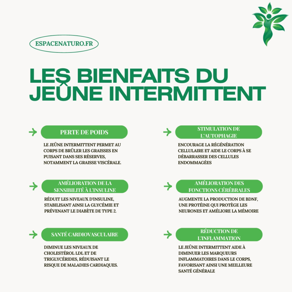 Infographie sur les bienfaits du jeûne intermittent pour la santé et la longévité.