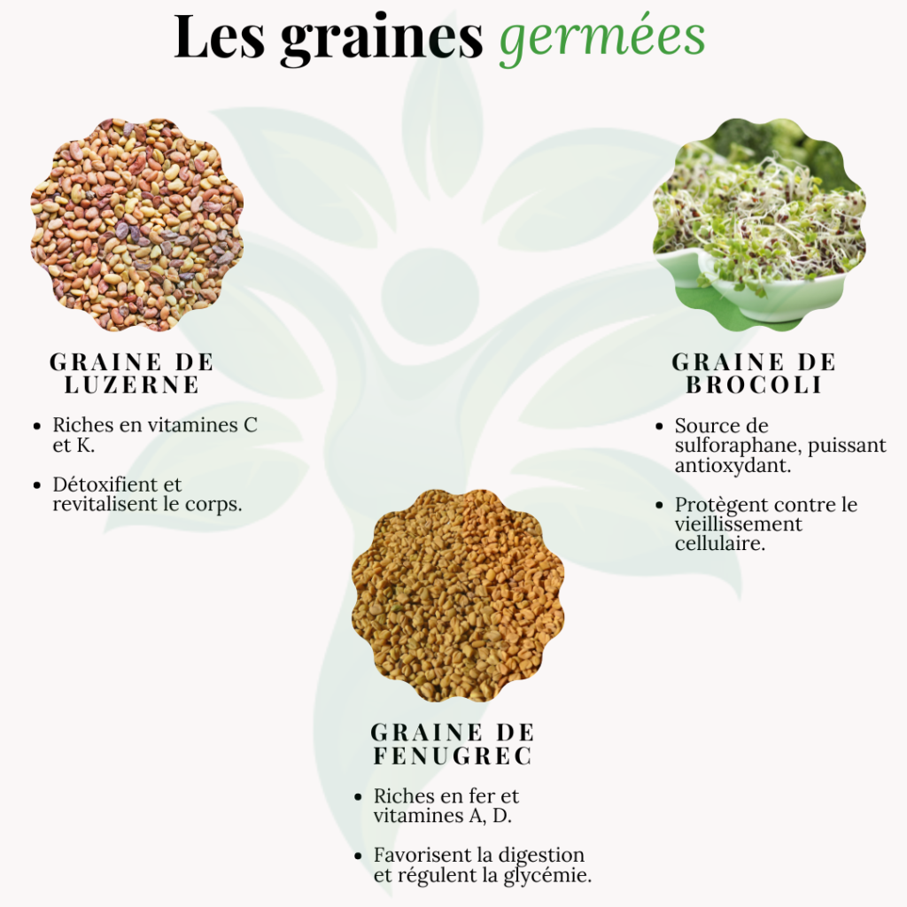 Infographie sur les bienfaits des graines germées comme la luzerne et le brocoli.