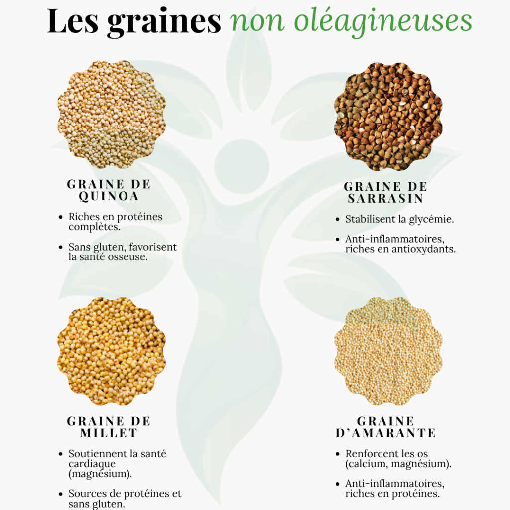 Infographie sur les graines non oléagineuses riches en protéines et fibres.