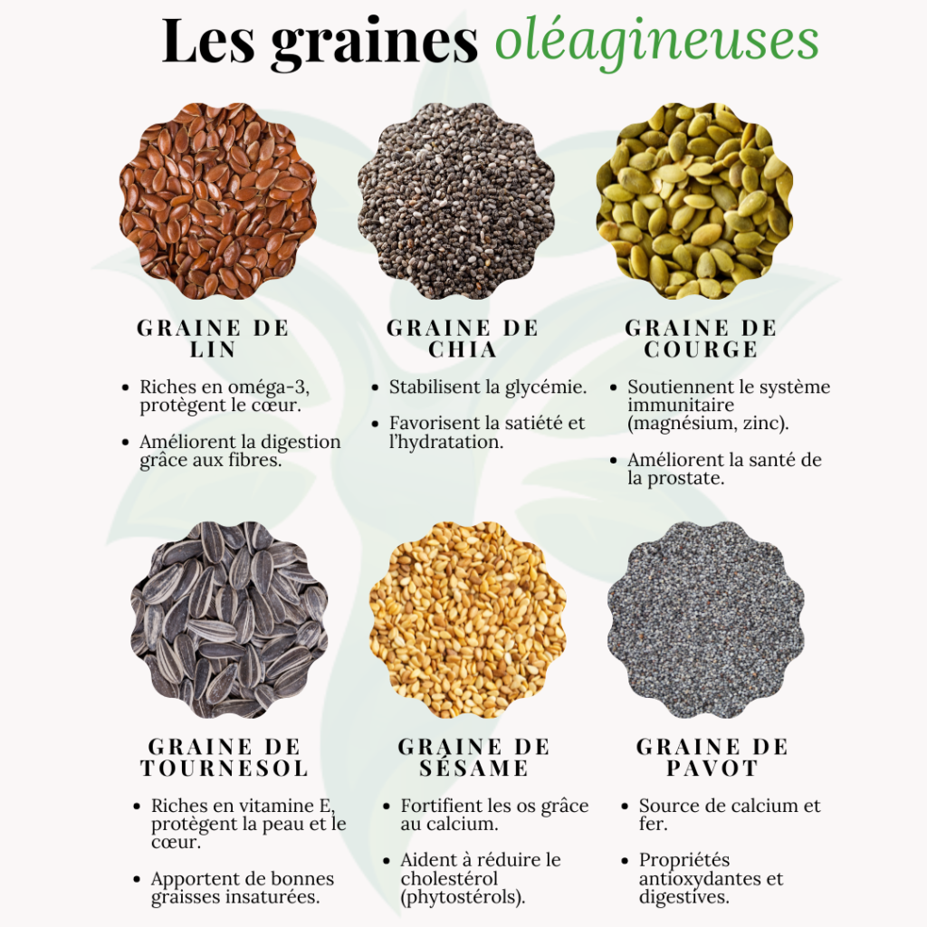 Infographie sur les bienfaits des graines oléagineuses comme le lin, chia et tournesol.