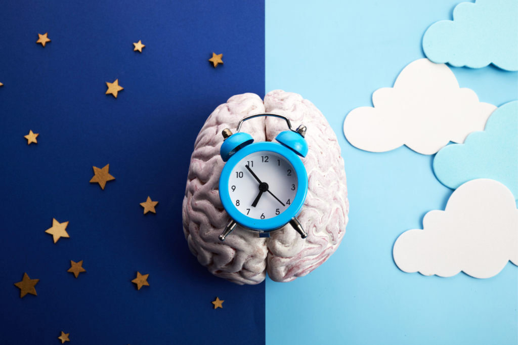 Horloge et cerveau, impact de l'horloge biologique chinoise sur le mental.