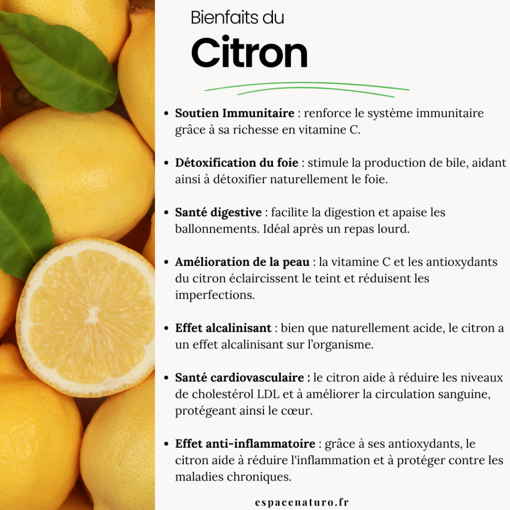 Infographie sur les bienfaits du citron pour la santé, incluant le soutien immunitaire et la santé digestive.