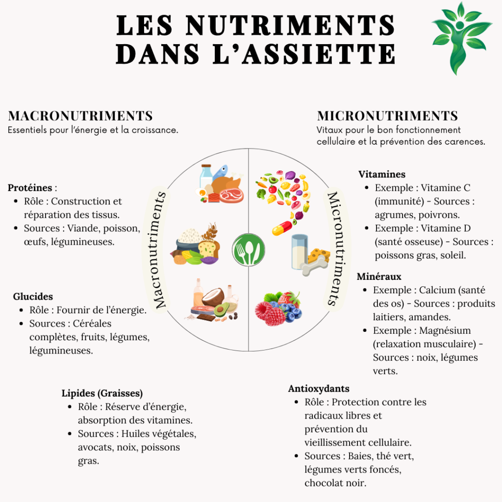 Infographie sur les macronutriments et micronutriments essentiels.