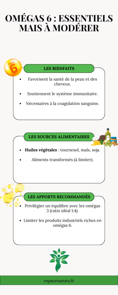 Infographie sur les omégas 6 : bienfaits et équilibre.