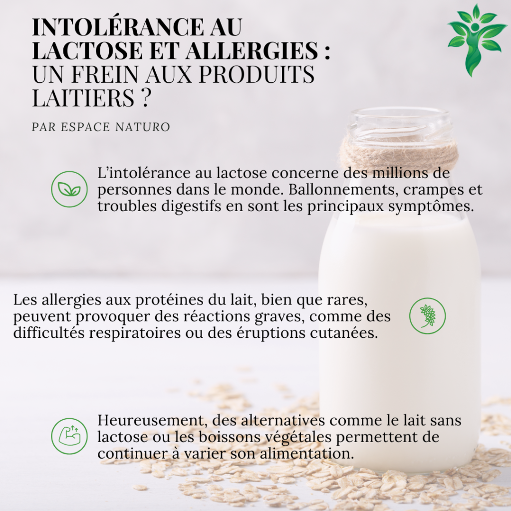 Infographie sur l’intolérance au lactose et les allergies aux produits laitiers, avec des conseils pour les alternatives.