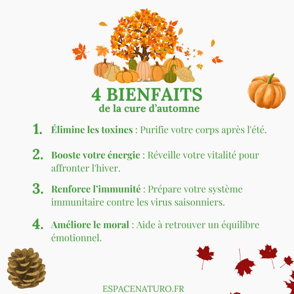 Infographie expliquant les principaux bienfaits d’une cure d’automne.