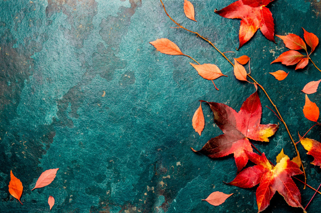 Feuilles rouges et orange symbolisant l’automne, parfait pour illustrer une cure saisonnière.