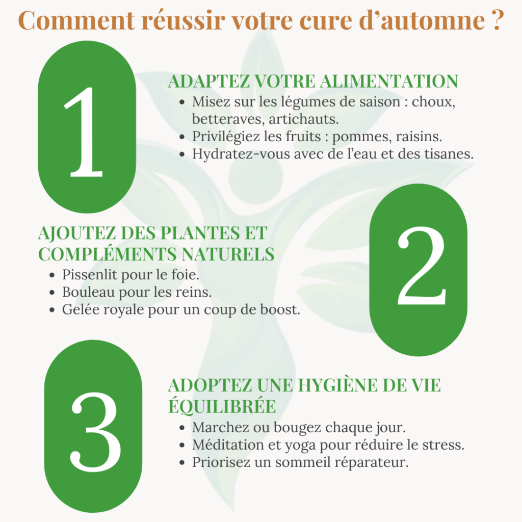 Infographie en trois étapes pour réussir sa cure d’automne.